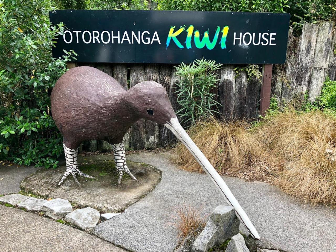Palm Court Motel Otorohanga Εξωτερικό φωτογραφία