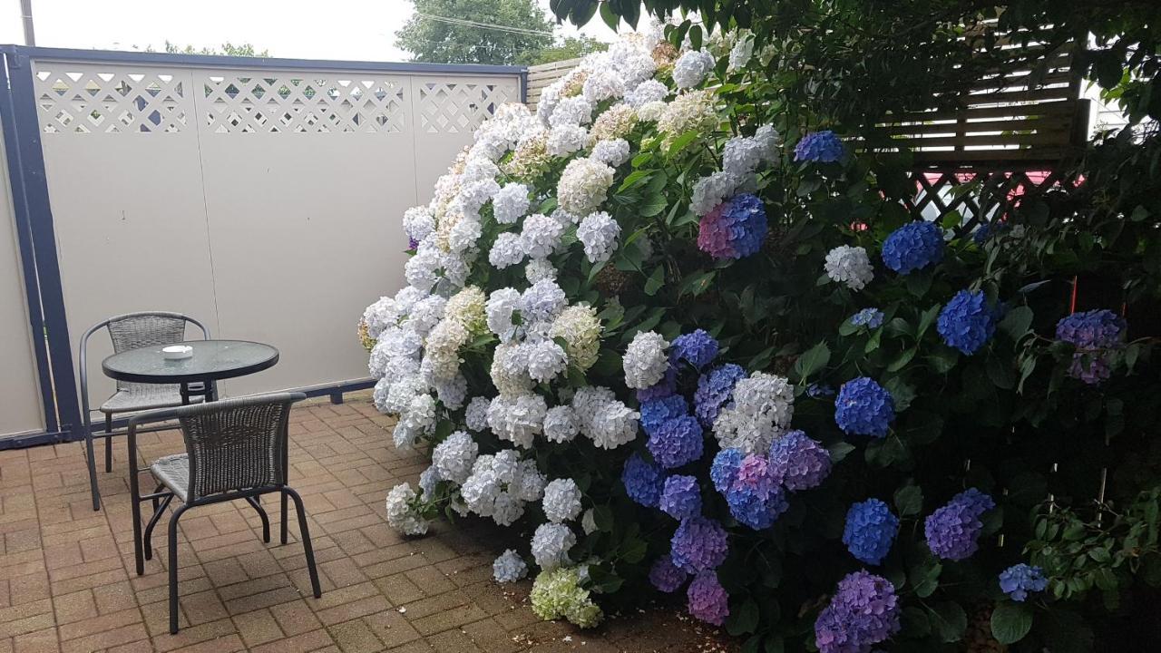 Palm Court Motel Otorohanga Εξωτερικό φωτογραφία