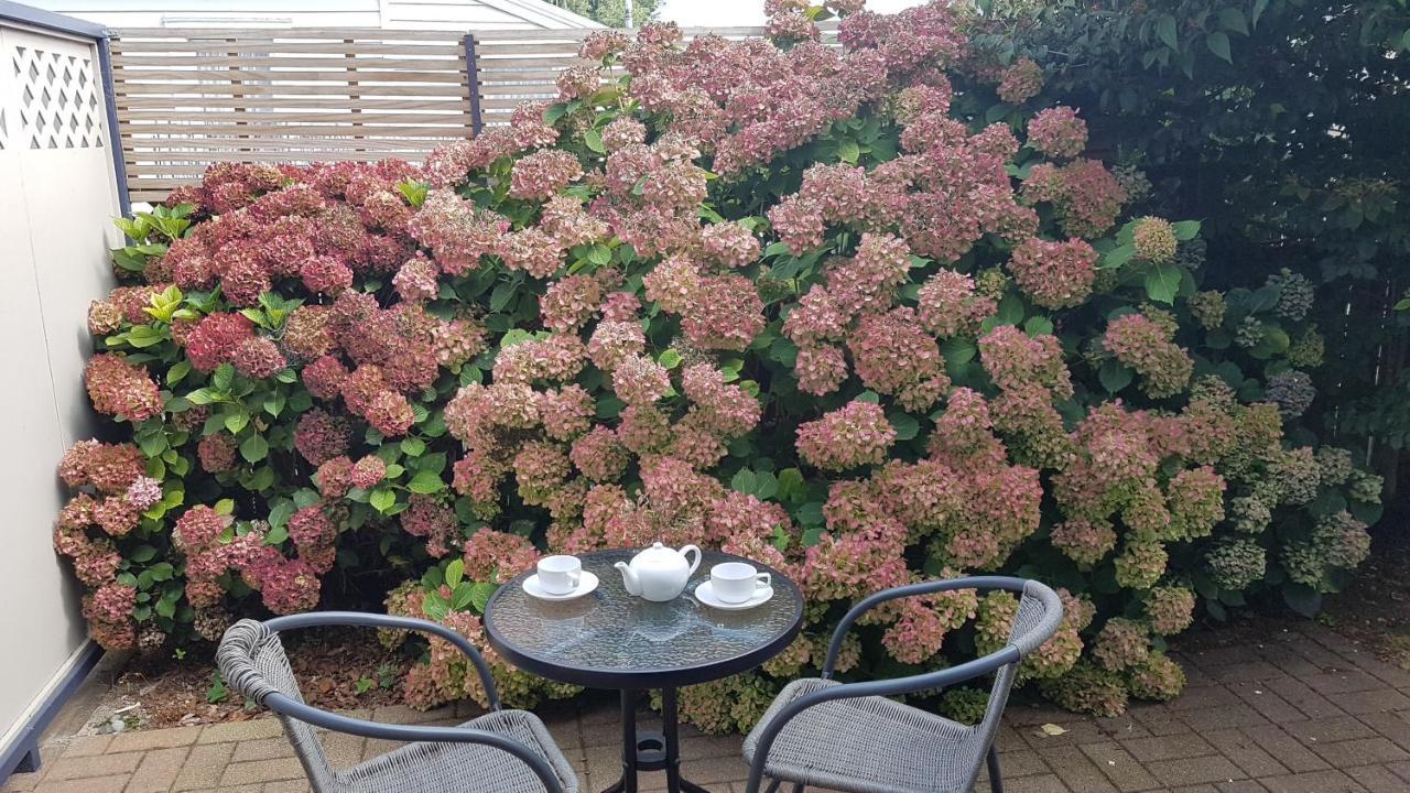 Palm Court Motel Otorohanga Εξωτερικό φωτογραφία